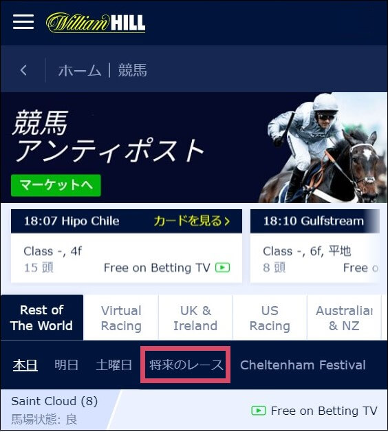ブックメーカーでドバイワールドカップ賭け方02