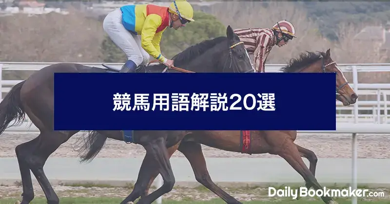 競馬の用語解説20選 | 初心者はこれだけ覚えれば大丈夫