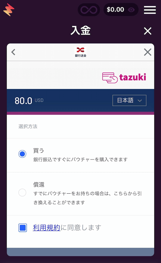 カジノミー 好きな金額の入力
